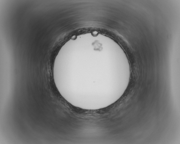 X0000112940918200908241004
