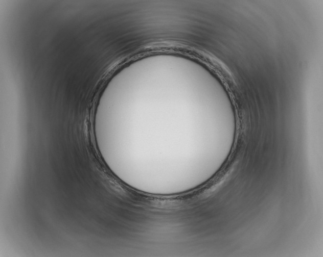 X0000112940921200908241004