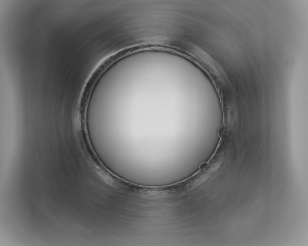 X0000112940924200908241004