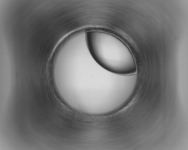 X0000112940926200908241004