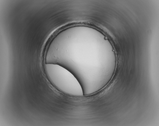 X0000112940927200908241004