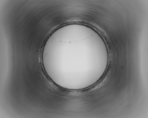 X0000112940929200908241004