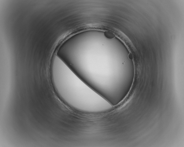 X0000112940930200908241004