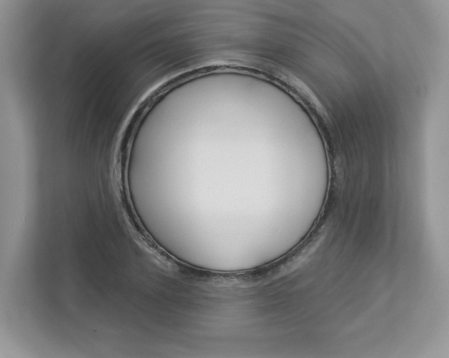 X0000112940931200908241004