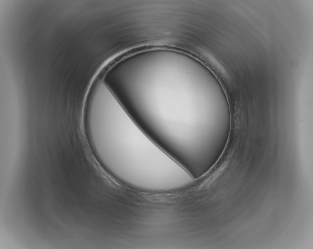 X0000112940932200908241004