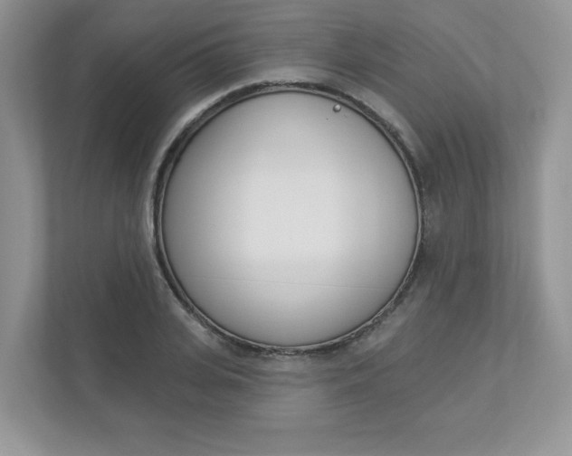 X0000112940935200908241004