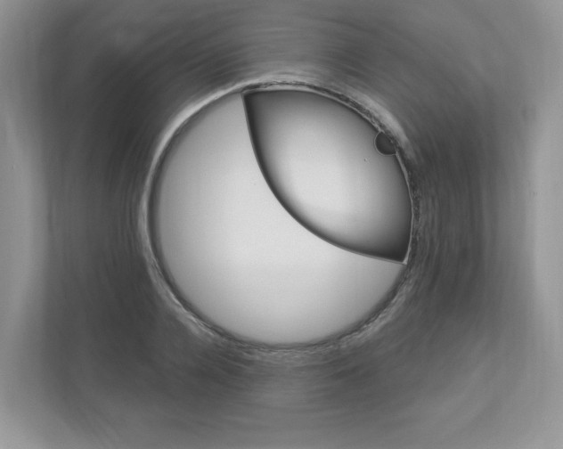 X0000112940936200908241004