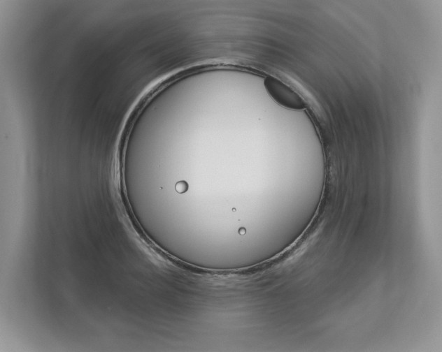 X0000112940940200908241004