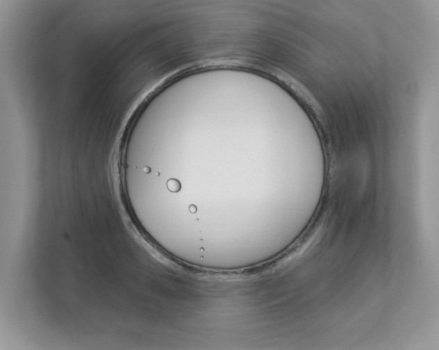 X0000112940941200908241004