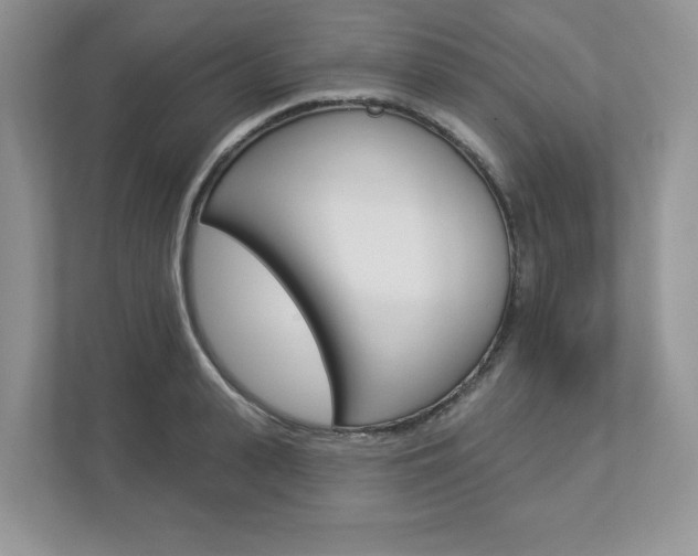 X0000112940943200908241004