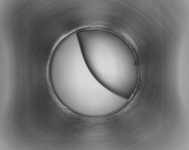X0000112940944200908241004