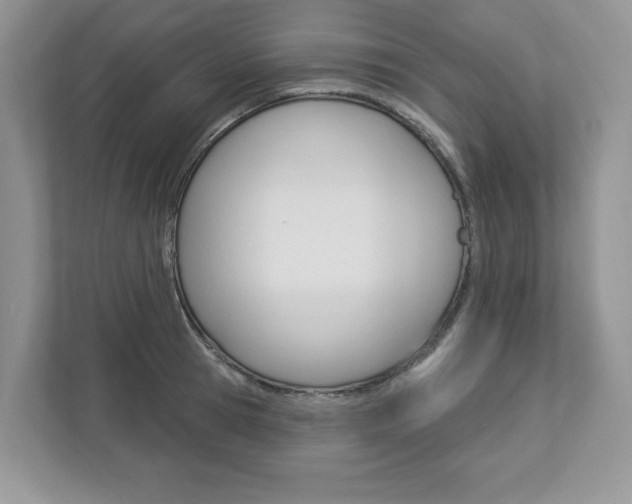X0000112940945200908241004