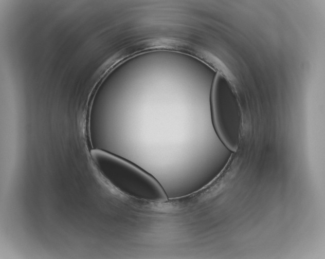 X0000112940946200908241004