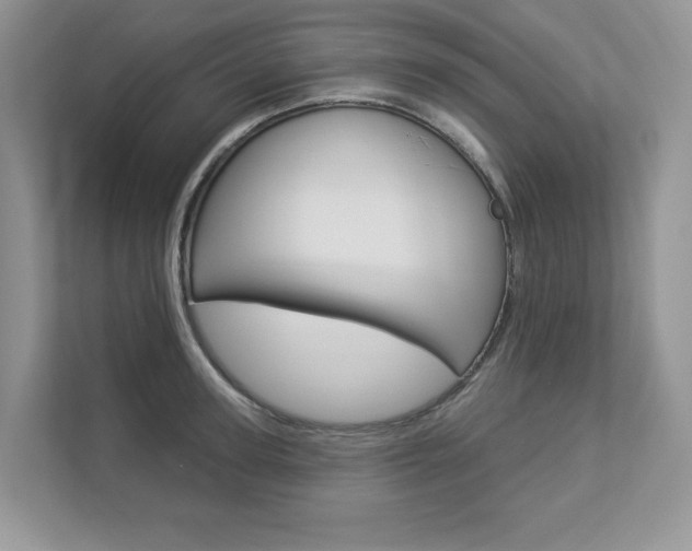 X0000112940947200908241004