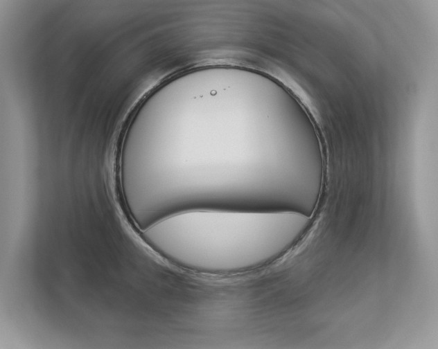 X0000112940949200908241004