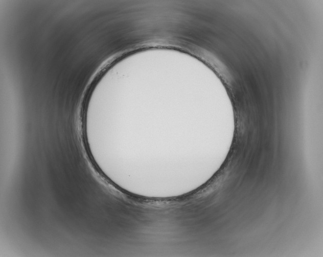 X0000112940950200908241004