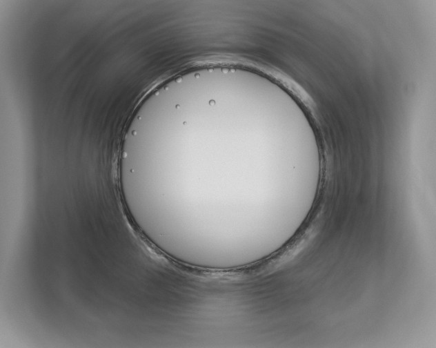 X0000112940953200908241004