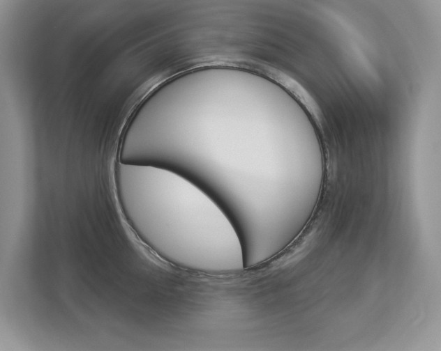 X0000112940954200908241004