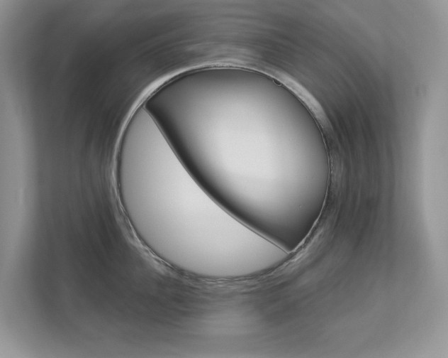 X0000112940956200908241004