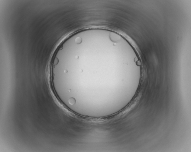 X0000112940957200908241004