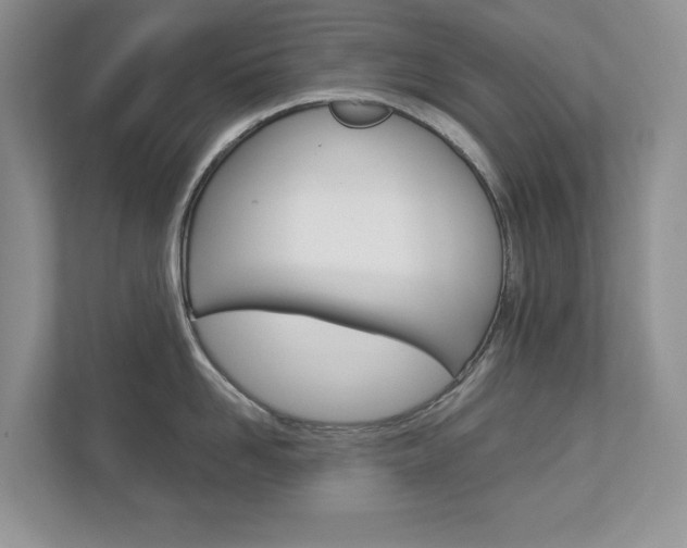 X0000112940958200908241004