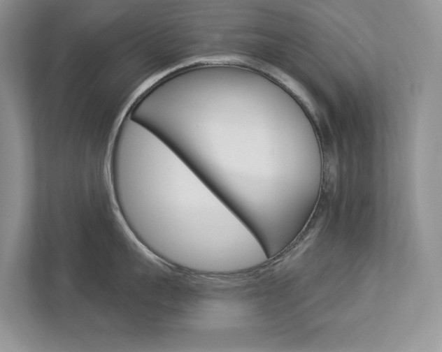 X0000112940959200908241004