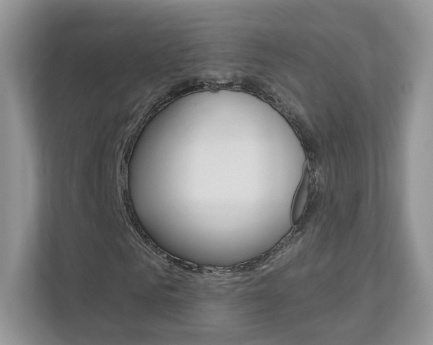 X0000112940961200908241004
