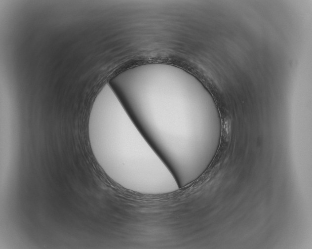 X0000112940963200908241003