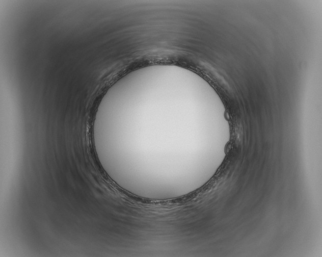 X0000112940964200908241003