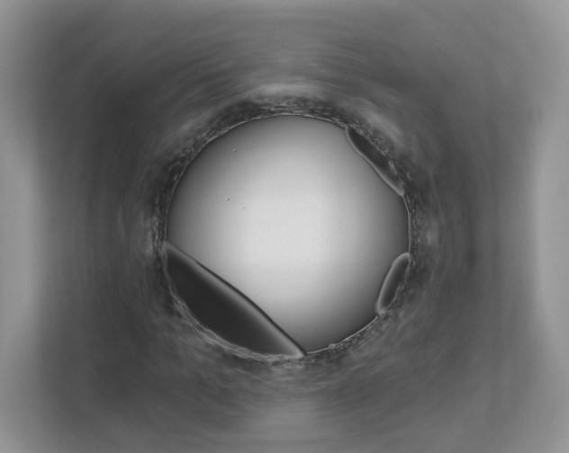 X0000112940965200908241003
