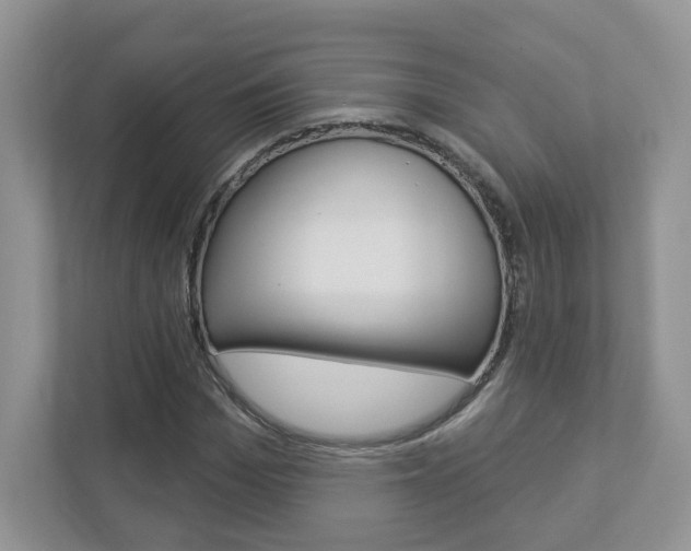 X0000112940969200908241003