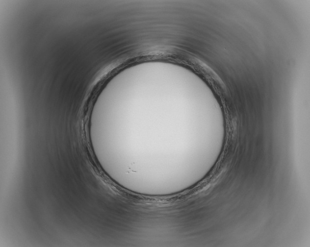 X0000112940970200908241003