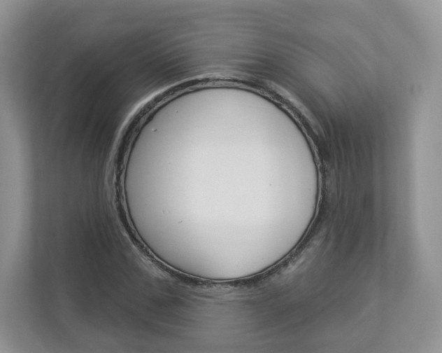 X0000112940971200908241003