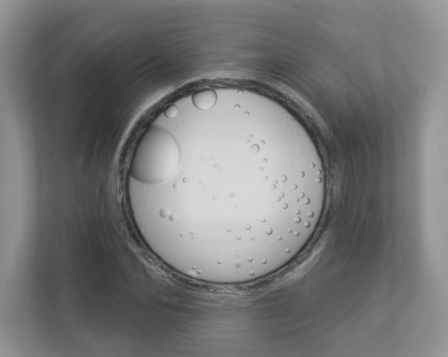 X0000112940974200908241003