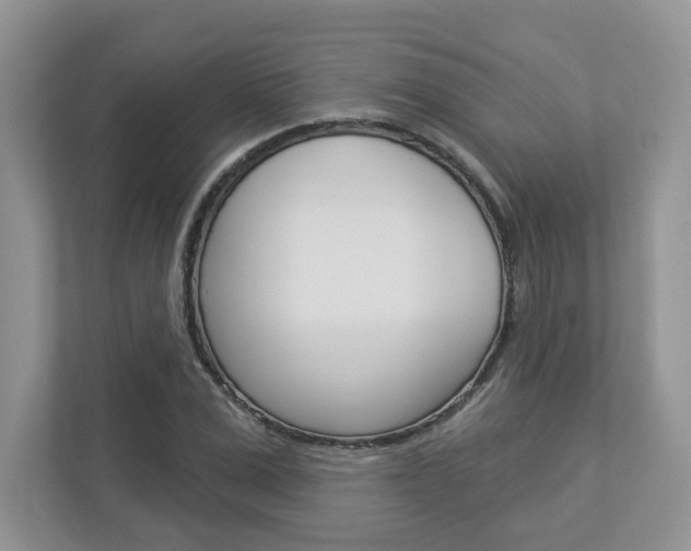 X0000112940975200908241003