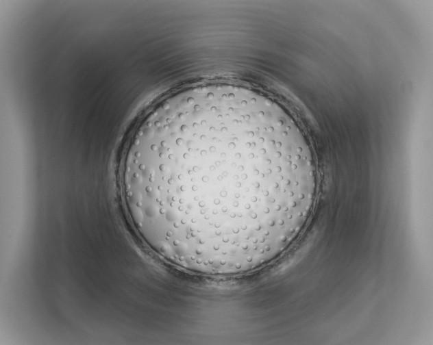 X0000112940978200908241003