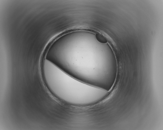 X0000112940981200908241003