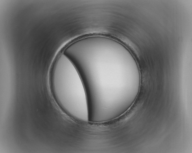 X0000112940983200908241003