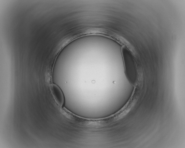 X0000112940985200908241003