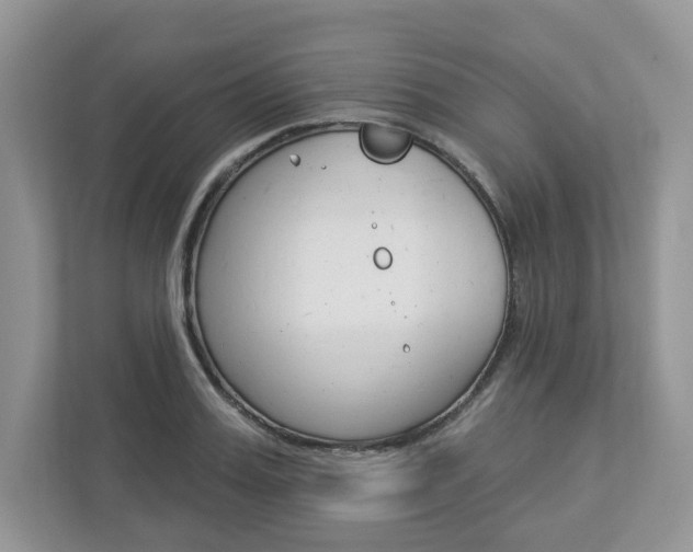 X0000112940987200908241003