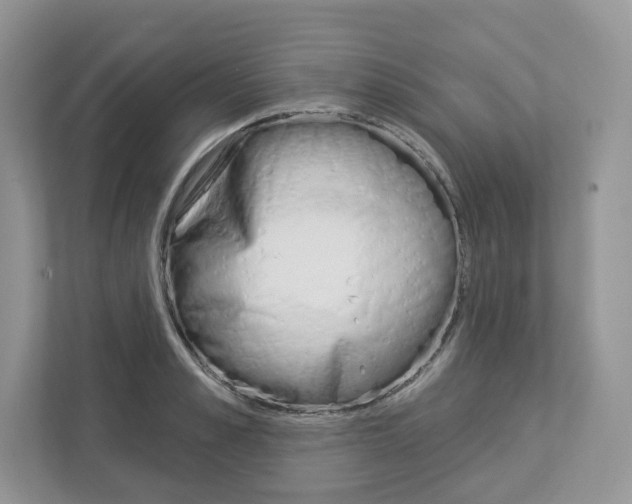X0000112940989200908241003