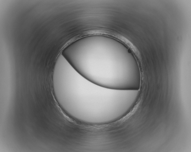 X0000112940993200908241003