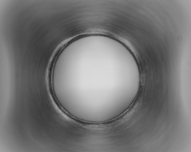X0000112940995200908241003
