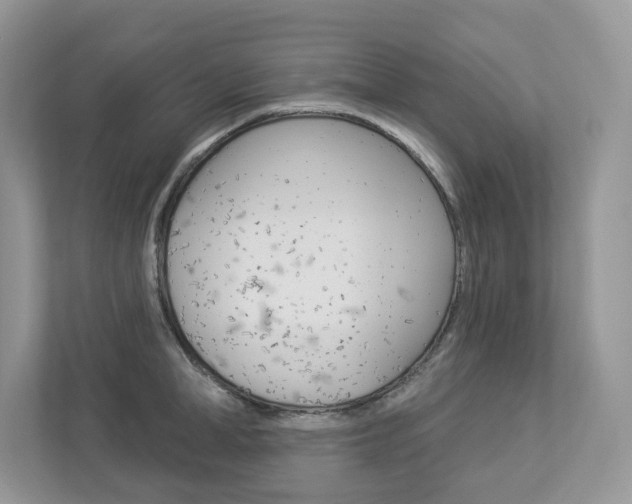 X0000112940998200908241003