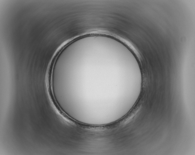 X0000112940999200908241003