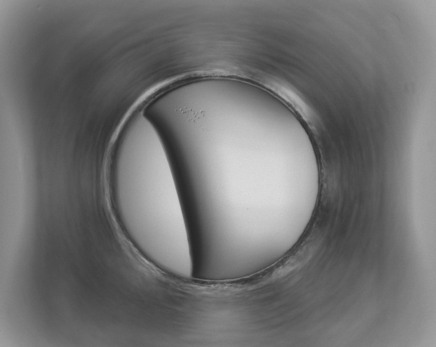 X0000112941000200908241003