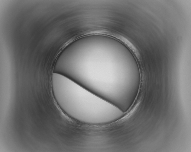 X0000112941001200908241003