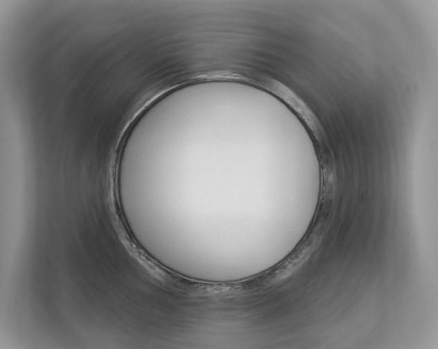 X0000112941002200908241003