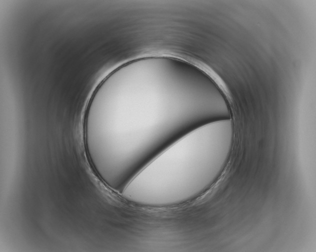 X0000112941004200908241003