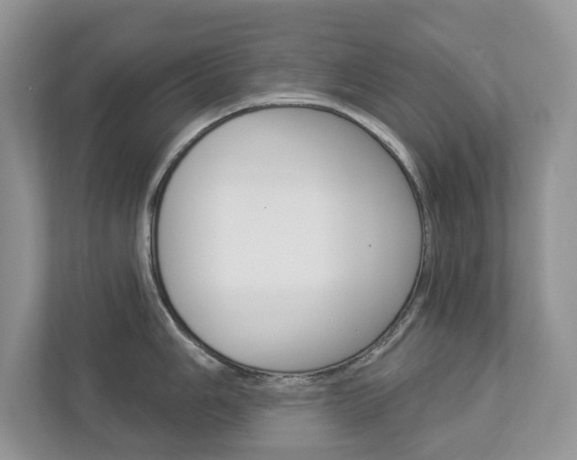 X0000112941006200908241003